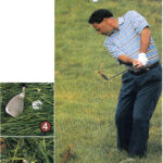 ROUGH STUFF (by Tom Patri with Dave Allen, The Met Golfer, 1999)